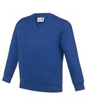 Academy Deep Royal