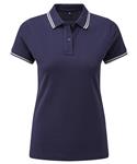 Navy/White