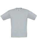 Pacific Grey