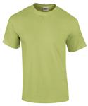 Pistachio
