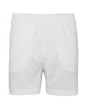 Arctic White