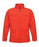 Classic Red/Seal Grey