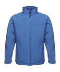Royal Blue/Seal Grey