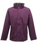 Majestic Purple/Seal Grey