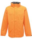 Sun Orange/Seal Grey