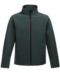 Dark Spruce/Black