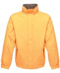 Sun Orange/Seal Grey