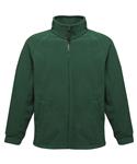 Bottle Green