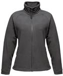 Seal Grey