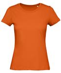 Urban Orange