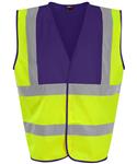 HV Yellow/Purple