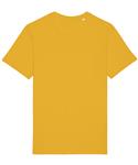 Spectra Yellow
