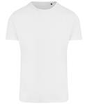 Arctic White