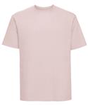 Powder Rose