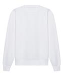 Arctic White