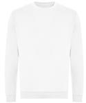 Arctic White