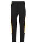 Black/Gold