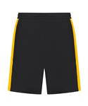 Black/Gold