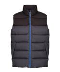 Seal Grey/Black
