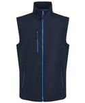 Navy/French Blue