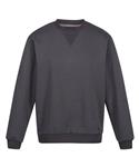 Seal Grey