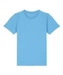 Aqua Blue