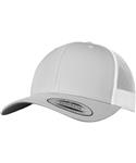 Silver/White